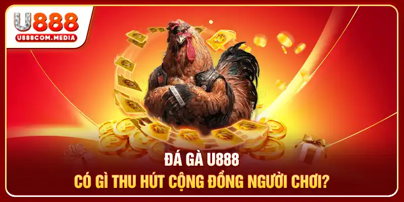 Đá Gà U888 có gì thu hút cộng đồng người chơi?