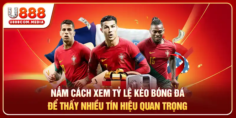 Nắm cách xem tỷ lệ kèo bóng đá để thấy nhiều tín hiệu quan trọng